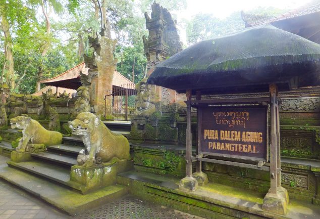 ubud_2013_020