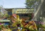 Der Bang Nam Phueng Floating Market